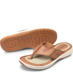 Born Shoes Canada | Men's Corvo Sandals - Terra (Brown)